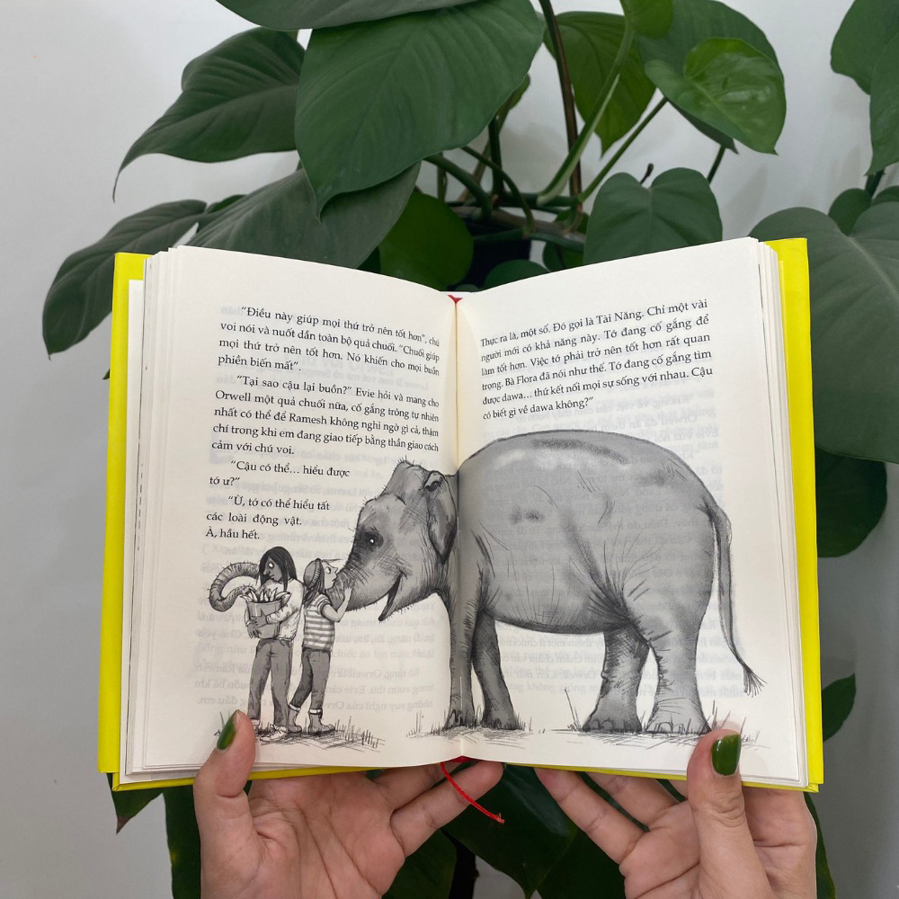 evie và biệt tài bí mật - Ảnh 3