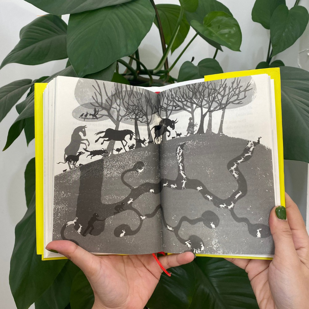 evie và biệt tài bí mật - Ảnh 4