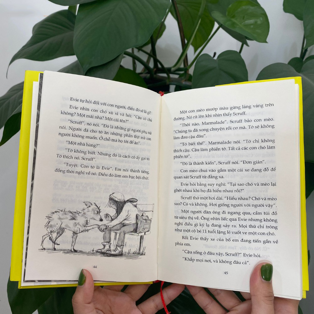 evie và biệt tài bí mật - Ảnh 5