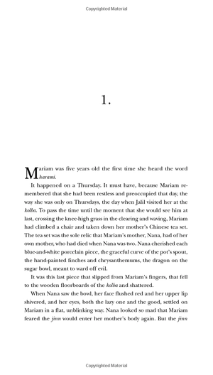 exp a thousand splendid suns - Ảnh 3