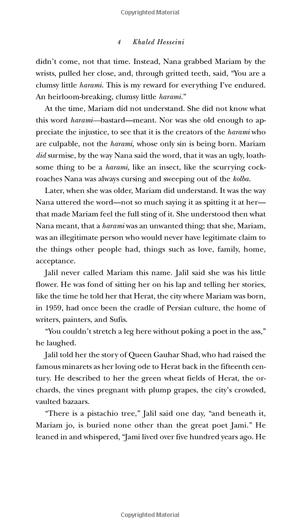 exp a thousand splendid suns - Ảnh 4