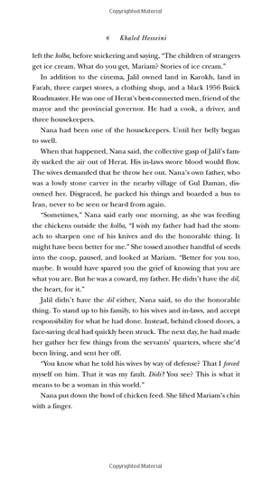 exp a thousand splendid suns - Ảnh 6