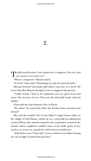 exp a thousand splendid suns - Ảnh 8