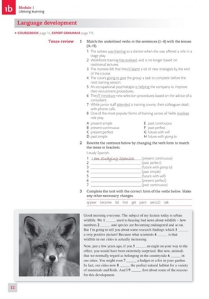 expert ielts 7.5 student's resource book with key - Ảnh 9