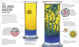explanatorium of science - where the wonders of the world are revealed - Ảnh 4