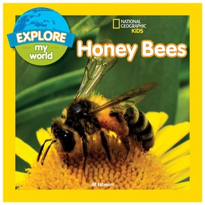 explore my world: honey bees - Ảnh 2