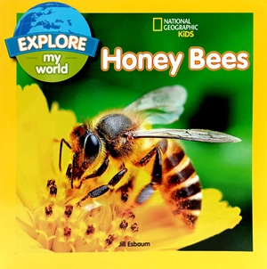 explore my world: honey bees - Ảnh 3