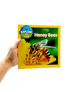 explore my world: honey bees - Ảnh 8