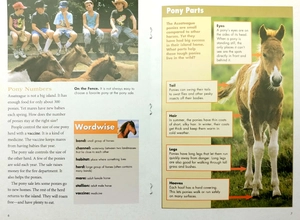 explore on your own life science pioneer wild ponies - Ảnh 6