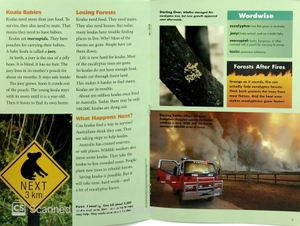 explorer books (pioneer science: animals): koalas - Ảnh 5