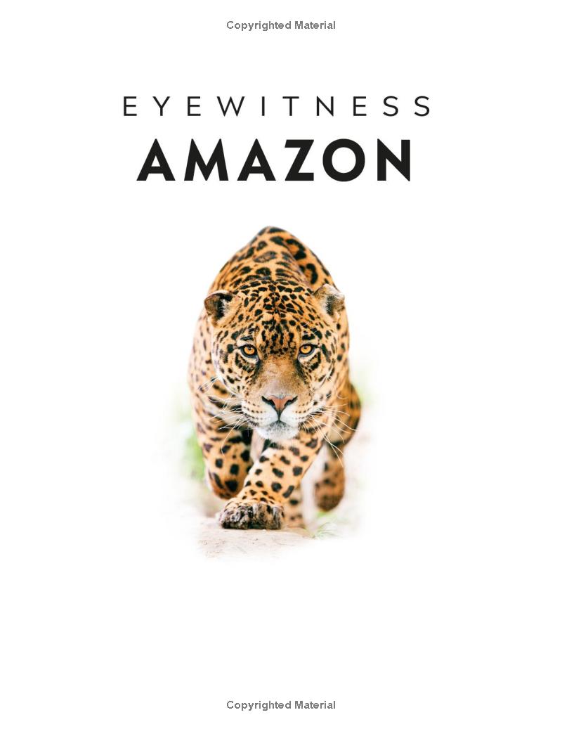Eyewitness - Amazon - Ảnh 4