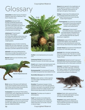 eyewitness: dinosaur - Ảnh 14