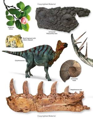 eyewitness: dinosaur - Ảnh 3