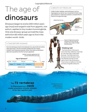 eyewitness: dinosaur - Ảnh 6