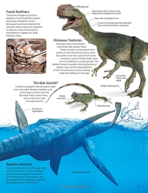 eyewitness: dinosaur - Ảnh 7