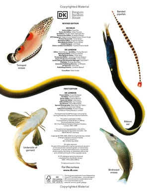 eyewitness - fish - Ảnh 8