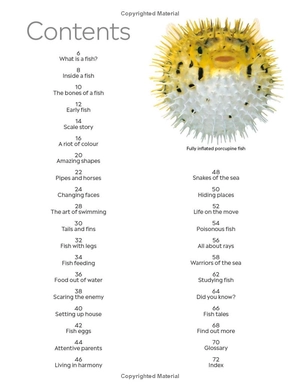 eyewitness - fish - Ảnh 9