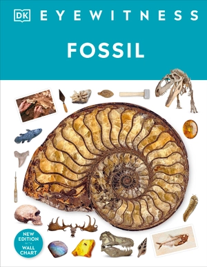eyewitness - fossil - Ảnh 2