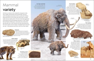 eyewitness - fossil - Ảnh 6