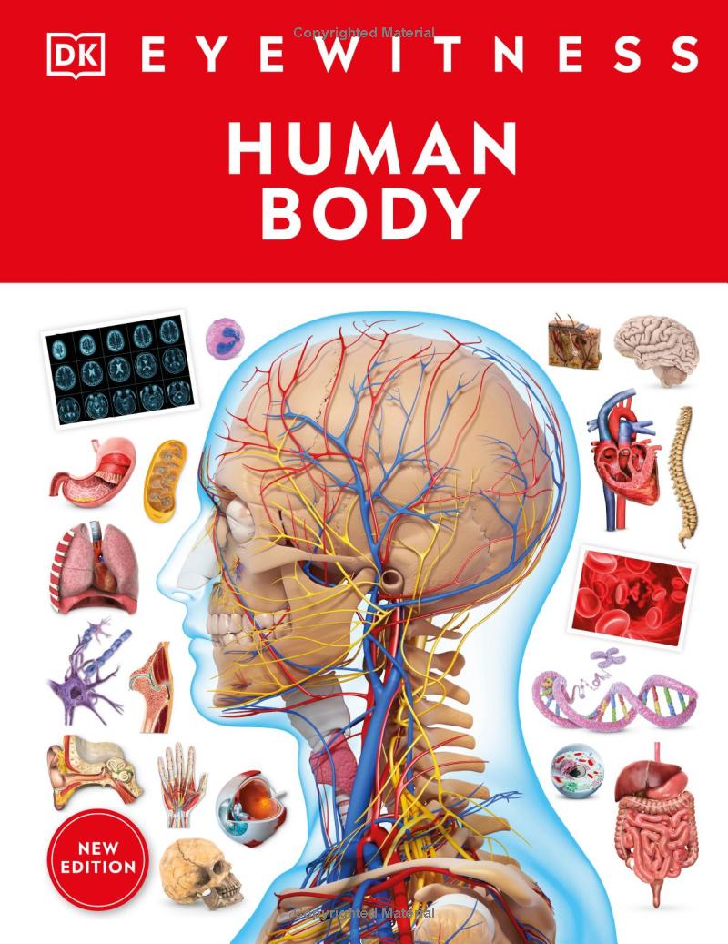 Eyewitness - Human Body - Ảnh 2