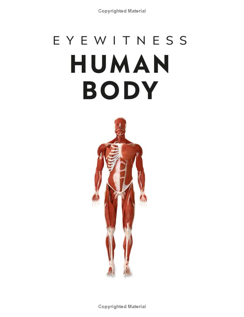 Eyewitness - Human Body - Ảnh 3