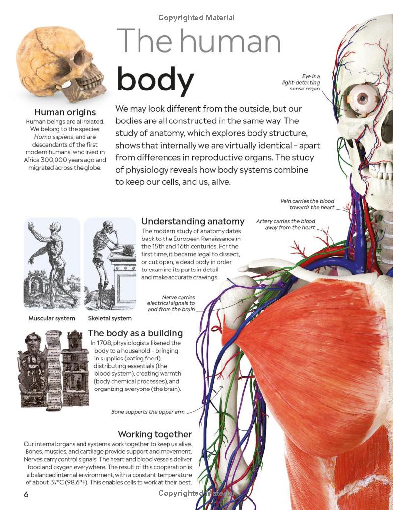 Eyewitness - Human Body - Ảnh 9
