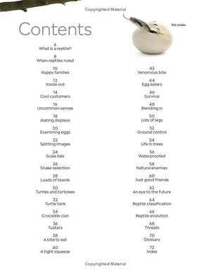 eyewitness - reptile - Ảnh 13