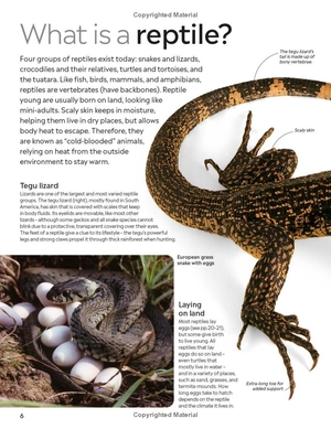 eyewitness - reptile - Ảnh 15