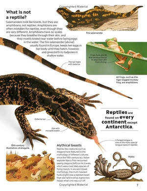 eyewitness - reptile - Ảnh 17