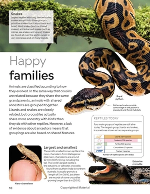 eyewitness - reptile - Ảnh 23