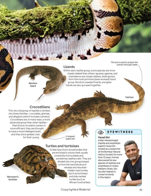 eyewitness - reptile - Ảnh 25