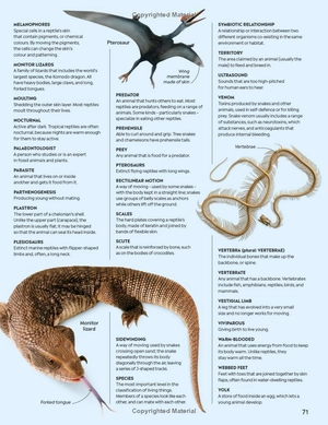 eyewitness - reptile - Ảnh 27