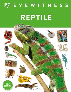 eyewitness - reptile - Ảnh 3