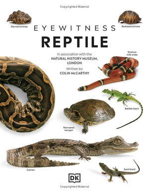 eyewitness - reptile - Ảnh 7