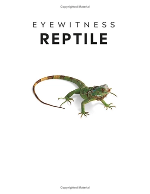 eyewitness - reptile - Ảnh 9