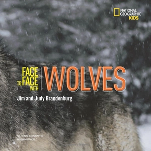face to face with wolves - Ảnh 5