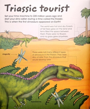 factivity meet the dinosaurs - book, magnets and board - Ảnh 5
