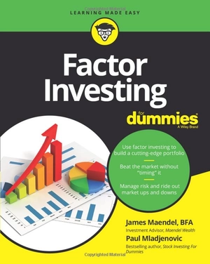 factor investing for dummies - Ảnh 2