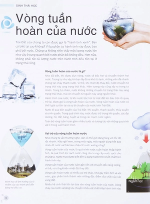 factoscope: science - sinh thái học - Ảnh 5