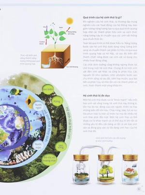 factoscope: science - sinh thái học - Ảnh 8