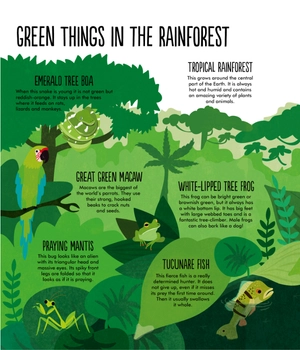 facts: essential knowledge for curious kids - Ảnh 4