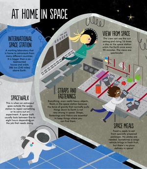 facts: essential knowledge for curious kids - Ảnh 5