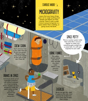 facts: essential knowledge for curious kids - Ảnh 6