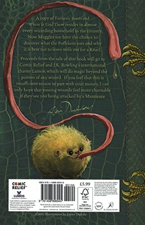 fantastic beasts and where to find them - Ảnh 10