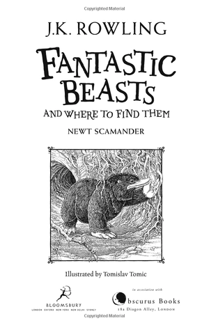 fantastic beasts and where to find them - Ảnh 2