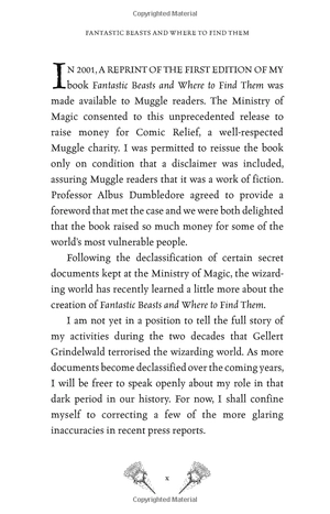 fantastic beasts and where to find them - Ảnh 5