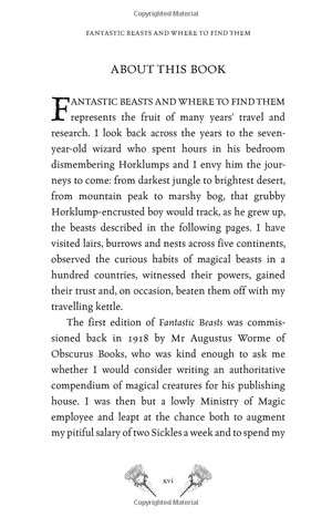 fantastic beasts and where to find them - Ảnh 8