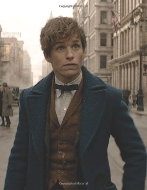 fantastic beasts movie hand charact - Ảnh 10