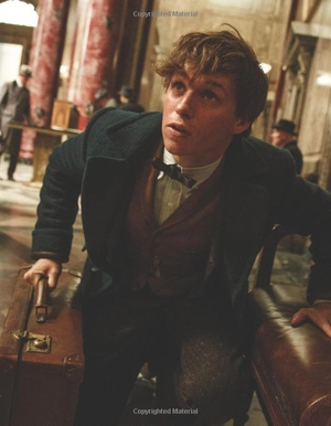 fantastic beasts movie hand charact - Ảnh 11