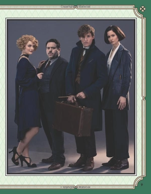 fantastic beasts movie hand charact - Ảnh 8